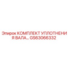 GS63066332 КОМПЛЕКТ УПЛОТНЕНИЯ ВАЛА Epiroc