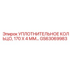 GS63069983 УПЛОТНИТЕЛЬНОЕ КОЛЬЦО 170 X 4 ММ Epiroc