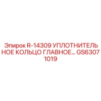GS63071019 R-14309 УПЛОТНИТЕЛЬНОЕ КОЛЬЦО ГЛАВНОЕ by Epiroc
