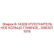 GS63071019 R-14309 УПЛОТНИТЕЛЬНОЕ КОЛЬЦО ГЛАВНОЕ by Epiroc