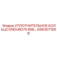 GS63071598 УПЛОТНИТЕЛЬНОЕ КОЛЬЦО ENDURO75 856... Epiroc