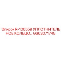 GS63071745 R-100559 УПЛОТНИТЕЛЬНОЕ КОЛЬЦО Epiroc