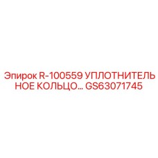 GS63071745 R-100559 УПЛОТНИТЕЛЬНОЕ КОЛЬЦО Epiroc
