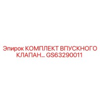 GS63290011 КОМПЛЕКТ ВПУСКНОГО КЛАПАНА by Epiroc