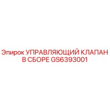 GS6393001 УПРАВЛЯЮЩИЙ КЛАПАН В СБОРЕ Epiroc