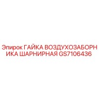 GS7106436 ГАЙКА ВОЗДУХОЗАБОРНИКА ШАРНИРНАЯ Epiroc