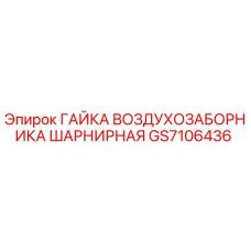 GS7106436 ГАЙКА ВОЗДУХОЗАБОРНИКА ШАРНИРНАЯ Epiroc