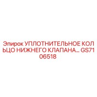 GS7106518 УПЛОТНИТЕЛЬНОЕ КОЛЬЦО НИЖНЕГО КЛАПАНА Epiroc