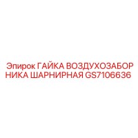 GS7106636 ГАЙКА ВОЗДУХОЗАБОРНИКА ШАРНИРНАЯ Epiroc
