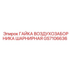 GS7106636 ГАЙКА ВОЗДУХОЗАБОРНИКА ШАРНИРНАЯ Epiroc