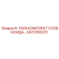 GS73165231 R-7929 КОМПЛЕКТ СОЛЕНОИДА Epiroc