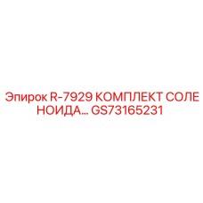 GS73165231 R-7929 КОМПЛЕКТ СОЛЕНОИДА Epiroc
