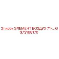 GS73168170 ЭЛЕМЕНТ ВОЗДУХ 71-… Epiroc
