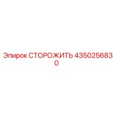 4350256830 СТОРОЖ Epiroc