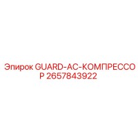 2657843922 GUARD-AC-КОМПРЕССОР Epiroc