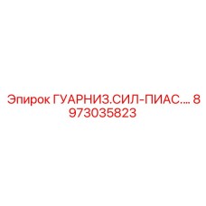 8973035823 ГУАРНИЗ.СИЛ-ПИАС by Epiroc