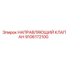 9106172100 НАПРАВЛЯЮЩИЙ КЛАПАН Epiroc
