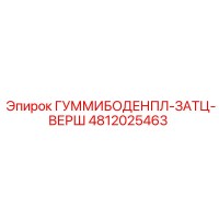 4812025463 ГУММИБОДЕНПЛ-ЗАТЦ-ВЕРШ Epiroc