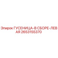 2653155370 ГУСЕНИЦА-В СБОРЕ-ЛЕВАЯ (Epiroc)