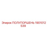 1901012539 ПОЛУПОРШЕНЬ Epiroc