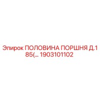 1903101102 ПОЛОВИНА ПОРШНЯ Д.185 Epiroc