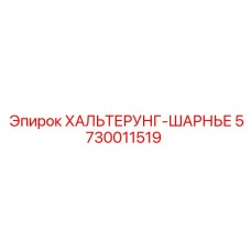 5730011519 ХАЛЬТЕРУНГ-ШАРНЬЕ Epiroc