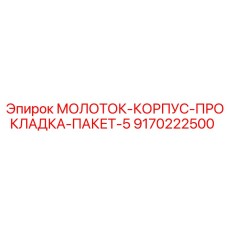 9170222500 МОЛОТОК-КОРПУС-ПРОКЛАДКА-ПАКЕТ-5 Epiroc