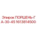 1613814500 ПОРШЕНЬ-ГА-30-45 Epiroc