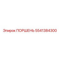 5541384300 ПОРШЕНЬ Epiroc