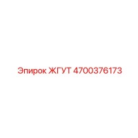 4700376173 ЖГУТ Epiroc