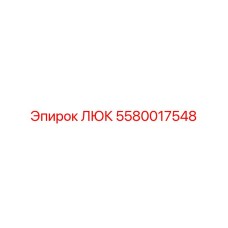 5580017548 ЛЮК Epiroc
