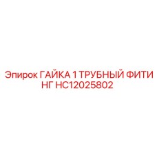 HC12025802 ГАЙКА 1 ТРУБНЫЙ ФИТИНГ Epiroc