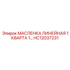 HC12037231 МАСЛЕНКА ЛИНЕЙНАЯ 1 КВАРТА 1… Epiroc