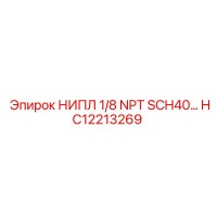 HC12213269 НИПЛ 1/8 NPT SCH40 Epiroc