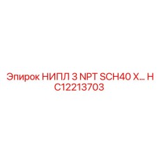 HC12213703 НИППЕЛЬ 3 NPT SCH40 X для буровых установок Epiroc