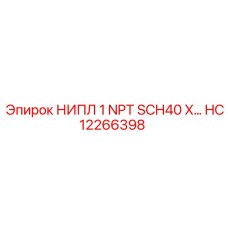 HC12266398 НИПЛ 1 NPT SCH40 X FEMALE Эпирок