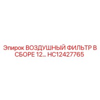 HC12427765 ВОЗДУШНЫЙ ФИЛЬТР В СБОРЕ 12… Epiroc