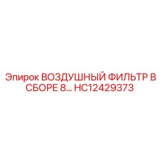 HC12429373 ВОЗДУШНЫЙ ФИЛЬТР В СБОРЕ 8… Epiroc