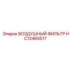 HC12465517 ВОЗДУШНЫЙ ФИЛЬТР Epiroc