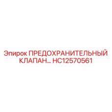 HC12570561 ПРЕДОХРАНИТЕЛЬНЫЙ КЛАПАН Epiroc