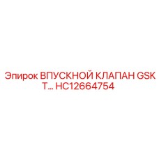 HC12664754 ВПУСКНОЙ КЛАПАН GSKT Epiroc