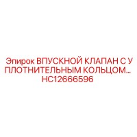 HC12666596 ВПУСКНОЙ КЛАПАН С УПЛОТНИТЕЛЬНЫМ КОЛЬЦОМ Epiroc
