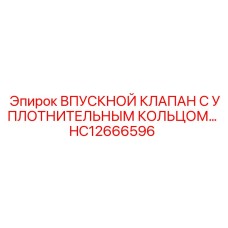 HC12666596 ВПУСКНОЙ КЛАПАН С УПЛОТНИТЕЛЬНЫМ КОЛЬЦОМ Epiroc