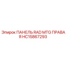 HC15867293 ПАНЕЛЬ RAD MTG ПРАВАЯ - Epiroc