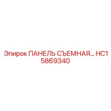 HC15869340 ПАНЕЛЬ СЪЕМНАЯ - Epiroc