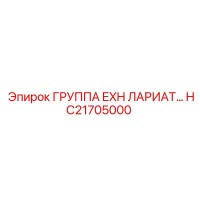 HC21705000 ГРУППА EXH ЛАРИАТ Epiroc
