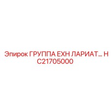 HC21705000 ГРУППА EXH ЛАРИАТ Epiroc