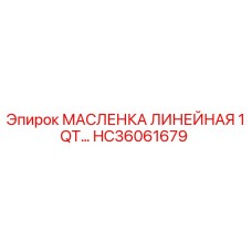 HC36061679 МАСЛЕНКА ЛИНЕЙНАЯ 1QT Epiroc