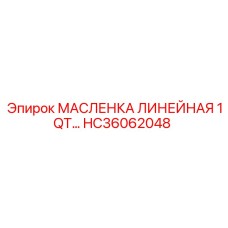 HC36062048 МАСЛЕНКА ЛИНЕЙНАЯ 1QT Epiroc