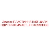 ПЛАСТИНЧАТЫЙ ЦИЛИНДР ПРИЖИМАЕТ HC40993030 Epiroc